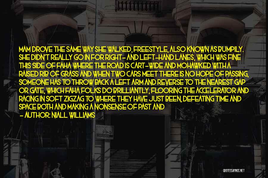 Niall Williams Quotes: Mam Drove The Same Way She Walked, Freestyle, Also Known As Bumpily. She Didn't Really Go In For Right- And