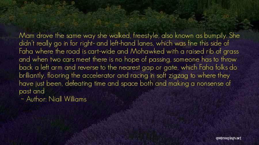 Niall Williams Quotes: Mam Drove The Same Way She Walked, Freestyle, Also Known As Bumpily. She Didn't Really Go In For Right- And