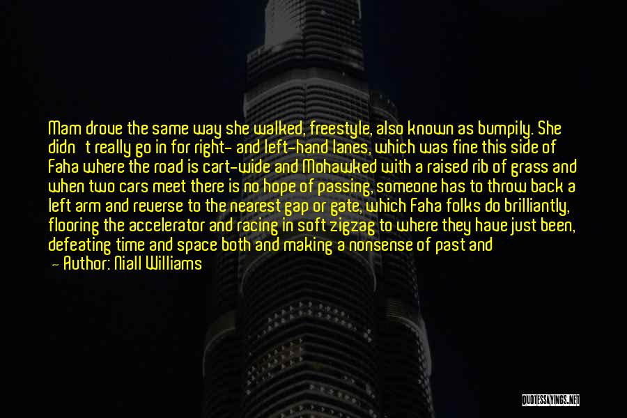 Niall Williams Quotes: Mam Drove The Same Way She Walked, Freestyle, Also Known As Bumpily. She Didn't Really Go In For Right- And