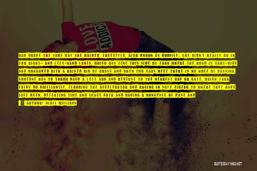 Niall Williams Quotes: Mam Drove The Same Way She Walked, Freestyle, Also Known As Bumpily. She Didn't Really Go In For Right- And