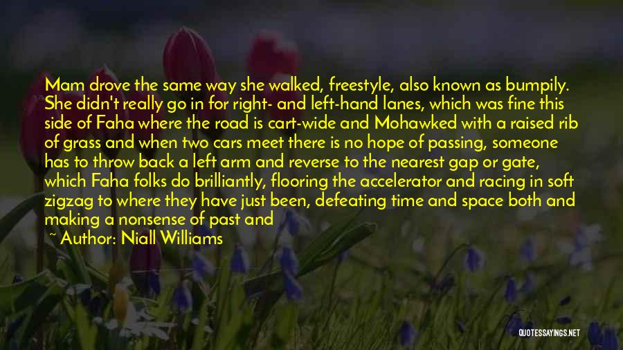 Niall Williams Quotes: Mam Drove The Same Way She Walked, Freestyle, Also Known As Bumpily. She Didn't Really Go In For Right- And