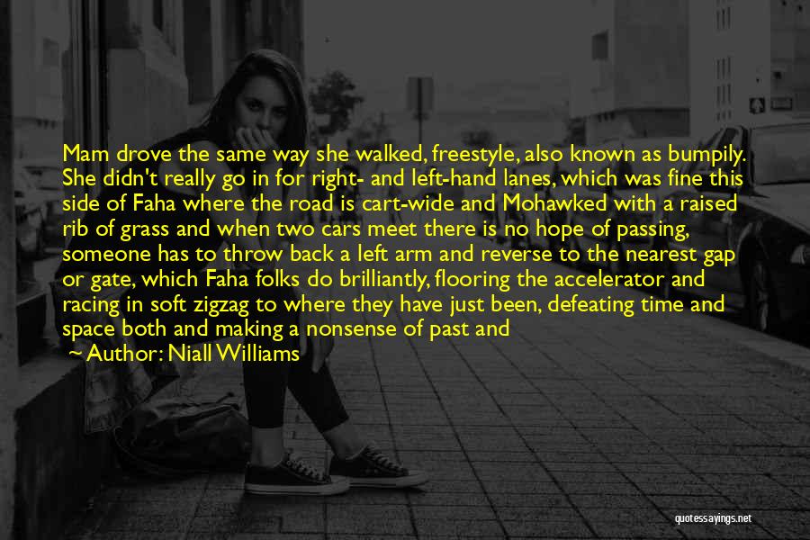 Niall Williams Quotes: Mam Drove The Same Way She Walked, Freestyle, Also Known As Bumpily. She Didn't Really Go In For Right- And