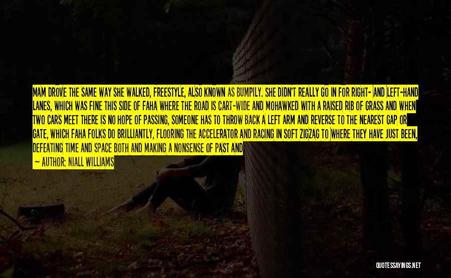 Niall Williams Quotes: Mam Drove The Same Way She Walked, Freestyle, Also Known As Bumpily. She Didn't Really Go In For Right- And