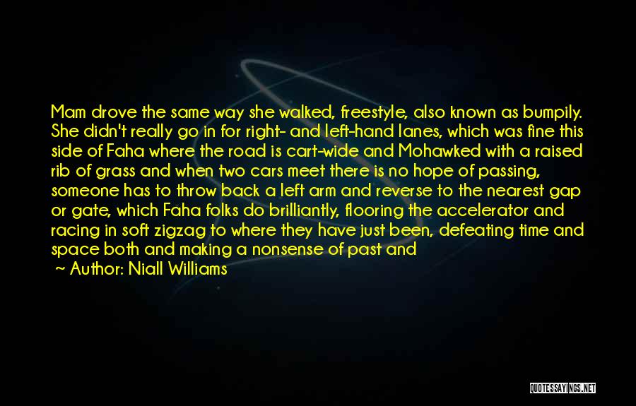 Niall Williams Quotes: Mam Drove The Same Way She Walked, Freestyle, Also Known As Bumpily. She Didn't Really Go In For Right- And