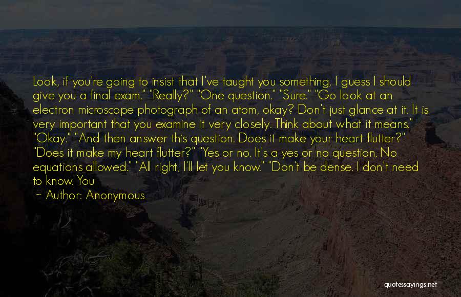 Anonymous Quotes: Look, If You're Going To Insist That I've Taught You Something, I Guess I Should Give You A Final Exam.