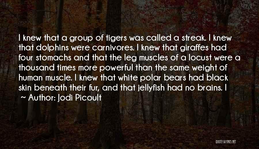 Jodi Picoult Quotes: I Knew That A Group Of Tigers Was Called A Streak. I Knew That Dolphins Were Carnivores. I Knew That