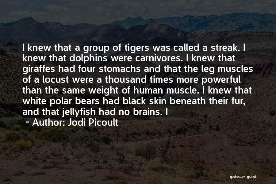 Jodi Picoult Quotes: I Knew That A Group Of Tigers Was Called A Streak. I Knew That Dolphins Were Carnivores. I Knew That