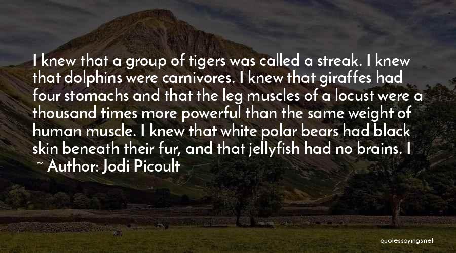 Jodi Picoult Quotes: I Knew That A Group Of Tigers Was Called A Streak. I Knew That Dolphins Were Carnivores. I Knew That