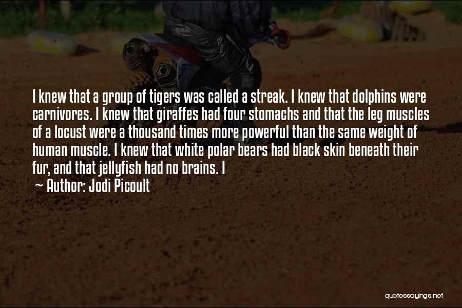 Jodi Picoult Quotes: I Knew That A Group Of Tigers Was Called A Streak. I Knew That Dolphins Were Carnivores. I Knew That