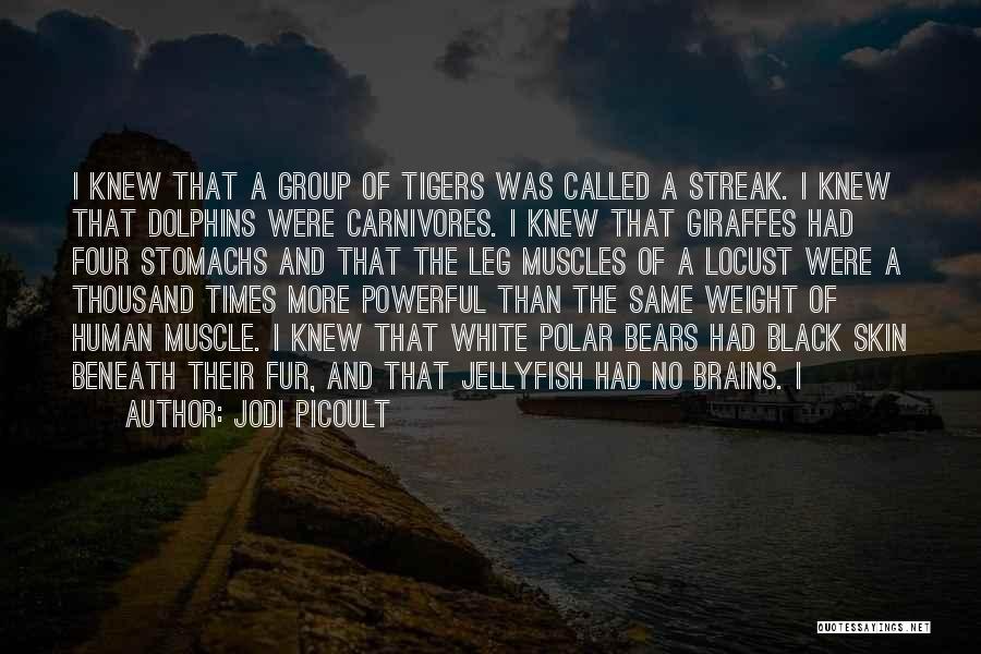 Jodi Picoult Quotes: I Knew That A Group Of Tigers Was Called A Streak. I Knew That Dolphins Were Carnivores. I Knew That