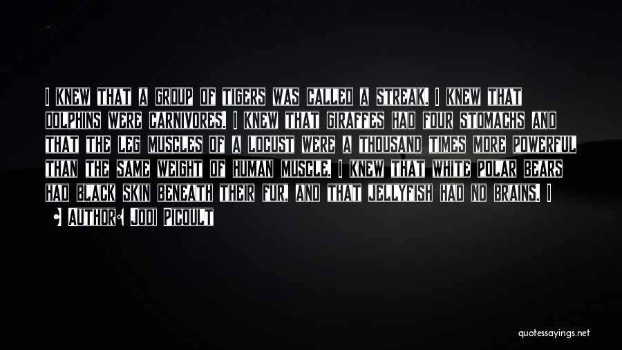 Jodi Picoult Quotes: I Knew That A Group Of Tigers Was Called A Streak. I Knew That Dolphins Were Carnivores. I Knew That