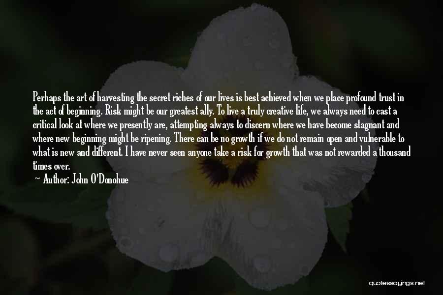 John O'Donohue Quotes: Perhaps The Art Of Harvesting The Secret Riches Of Our Lives Is Best Achieved When We Place Profound Trust In