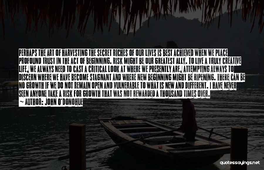John O'Donohue Quotes: Perhaps The Art Of Harvesting The Secret Riches Of Our Lives Is Best Achieved When We Place Profound Trust In