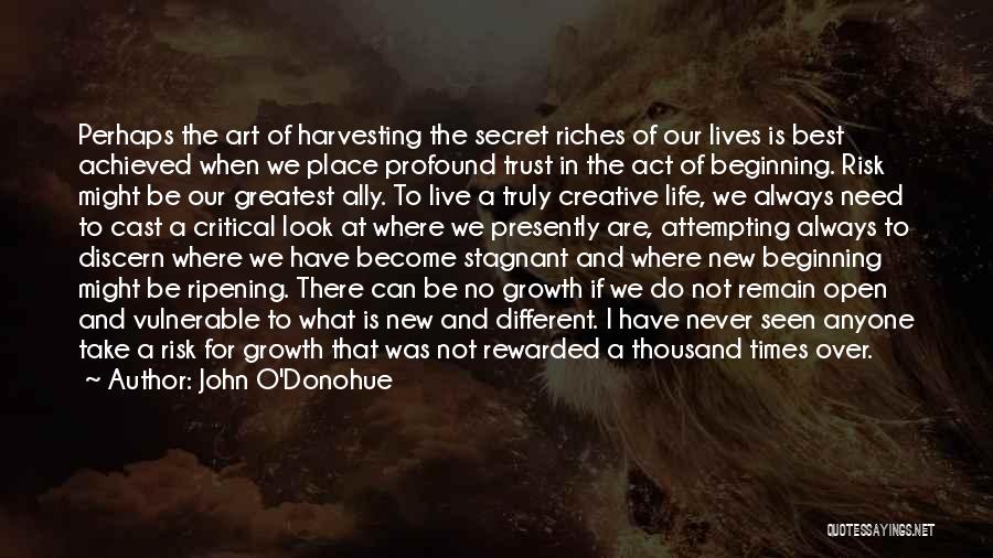 John O'Donohue Quotes: Perhaps The Art Of Harvesting The Secret Riches Of Our Lives Is Best Achieved When We Place Profound Trust In