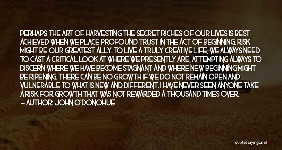 John O'Donohue Quotes: Perhaps The Art Of Harvesting The Secret Riches Of Our Lives Is Best Achieved When We Place Profound Trust In