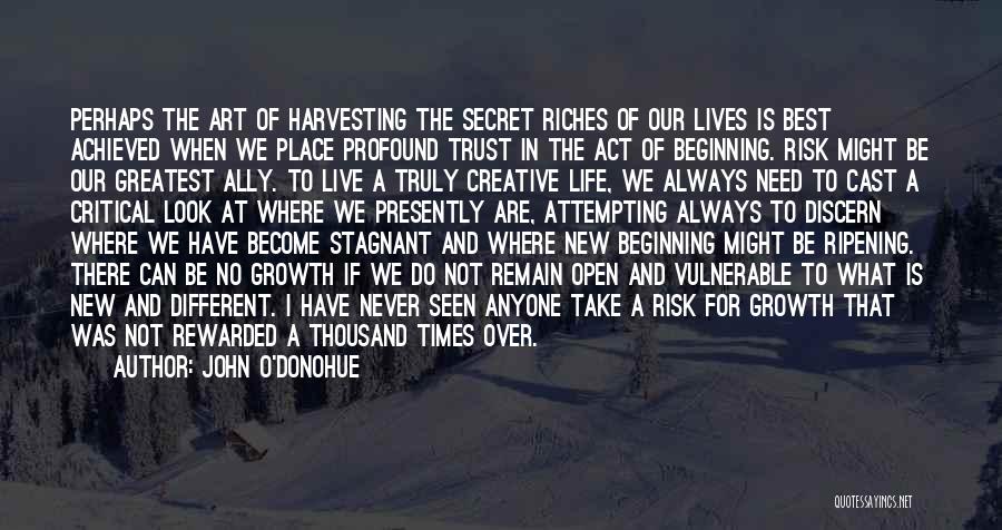 John O'Donohue Quotes: Perhaps The Art Of Harvesting The Secret Riches Of Our Lives Is Best Achieved When We Place Profound Trust In