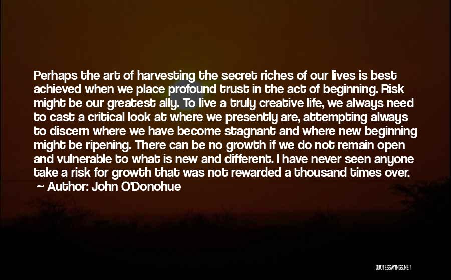 John O'Donohue Quotes: Perhaps The Art Of Harvesting The Secret Riches Of Our Lives Is Best Achieved When We Place Profound Trust In