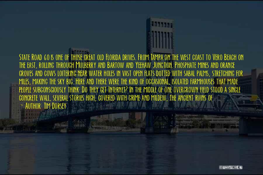 Tim Dorsey Quotes: State Road 60 Is One Of Those Great Old Florida Drives. From Tampa On The West Coast To Vero Beach