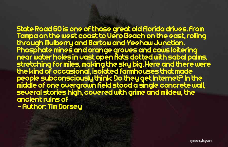 Tim Dorsey Quotes: State Road 60 Is One Of Those Great Old Florida Drives. From Tampa On The West Coast To Vero Beach