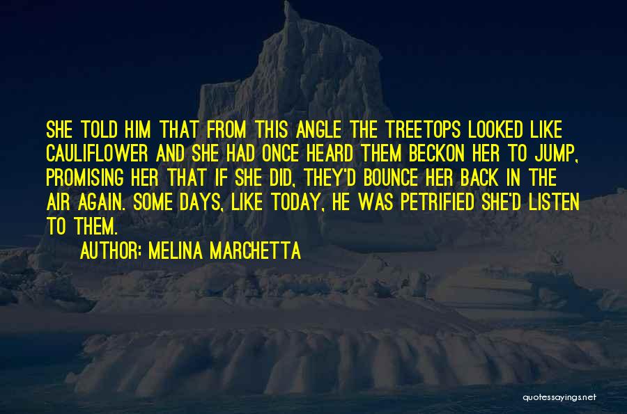 Melina Marchetta Quotes: She Told Him That From This Angle The Treetops Looked Like Cauliflower And She Had Once Heard Them Beckon Her