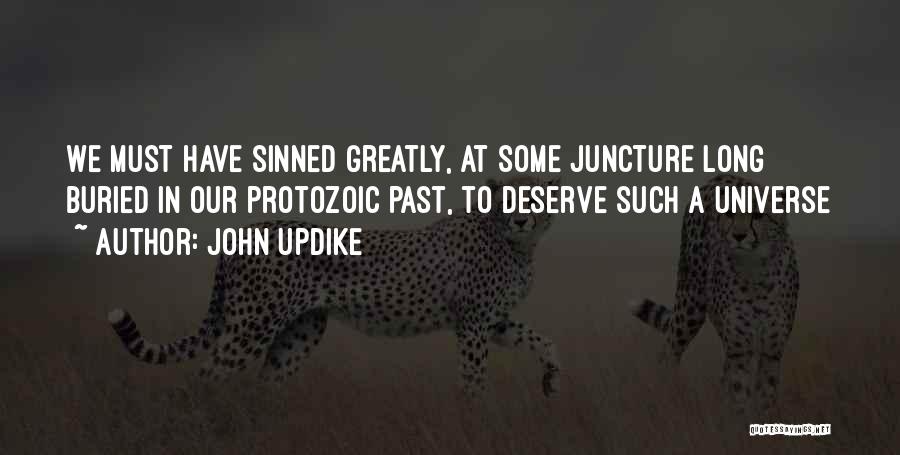 John Updike Quotes: We Must Have Sinned Greatly, At Some Juncture Long Buried In Our Protozoic Past, To Deserve Such A Universe