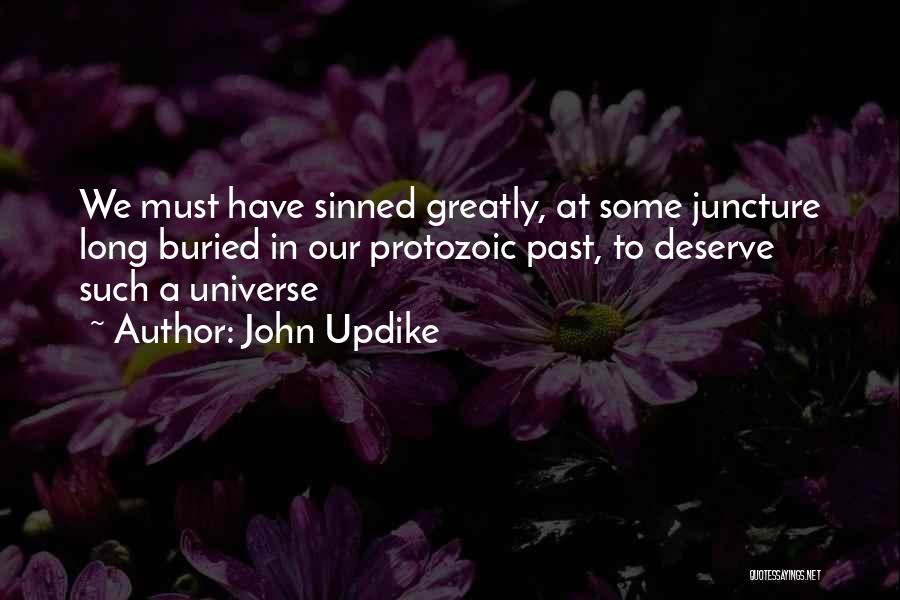 John Updike Quotes: We Must Have Sinned Greatly, At Some Juncture Long Buried In Our Protozoic Past, To Deserve Such A Universe