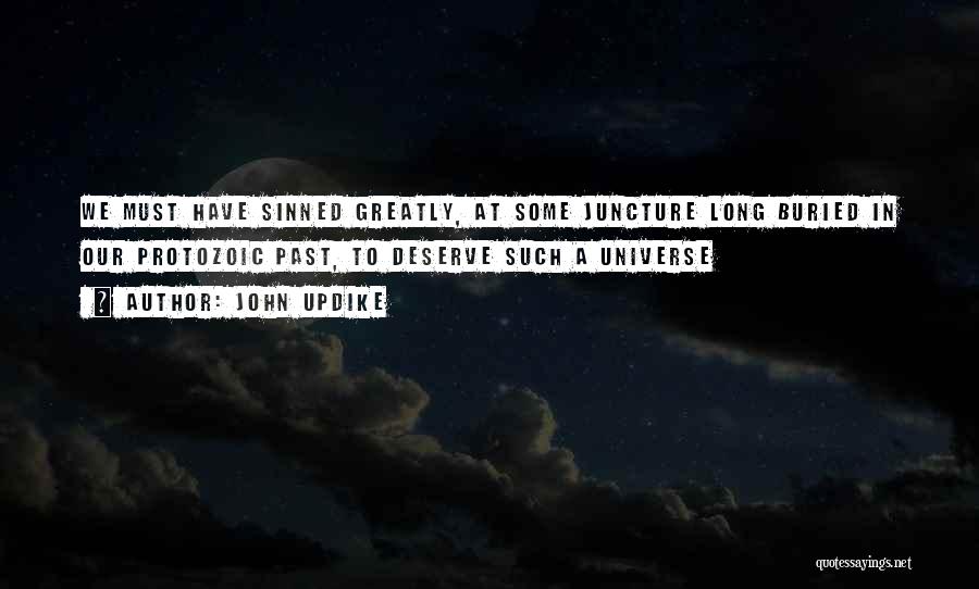 John Updike Quotes: We Must Have Sinned Greatly, At Some Juncture Long Buried In Our Protozoic Past, To Deserve Such A Universe