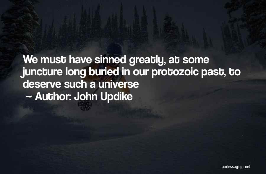 John Updike Quotes: We Must Have Sinned Greatly, At Some Juncture Long Buried In Our Protozoic Past, To Deserve Such A Universe