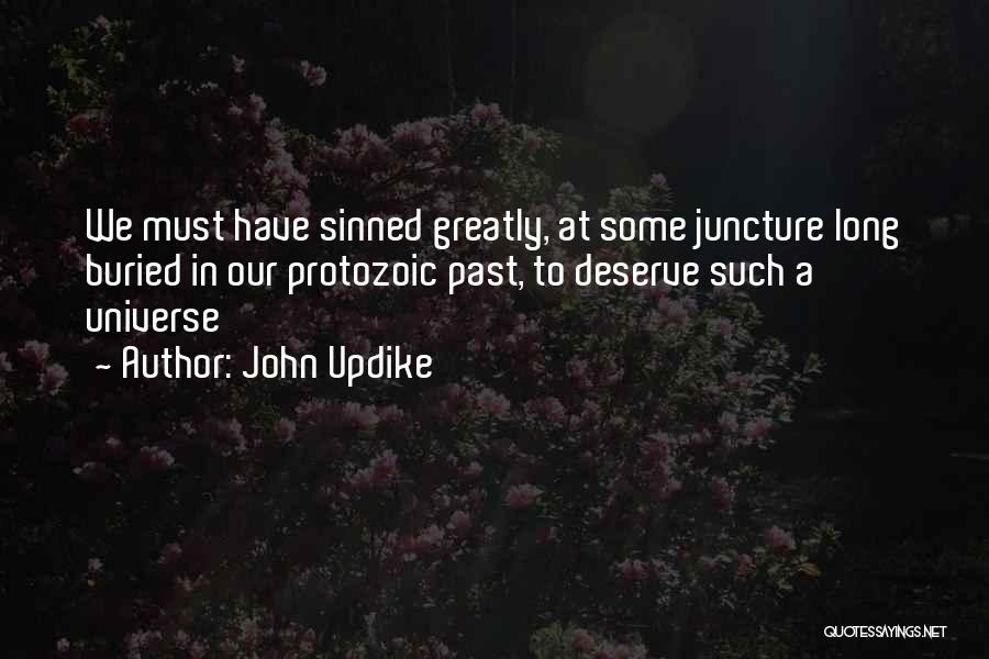John Updike Quotes: We Must Have Sinned Greatly, At Some Juncture Long Buried In Our Protozoic Past, To Deserve Such A Universe