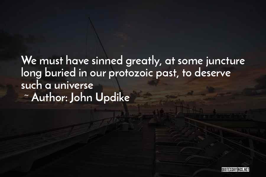 John Updike Quotes: We Must Have Sinned Greatly, At Some Juncture Long Buried In Our Protozoic Past, To Deserve Such A Universe