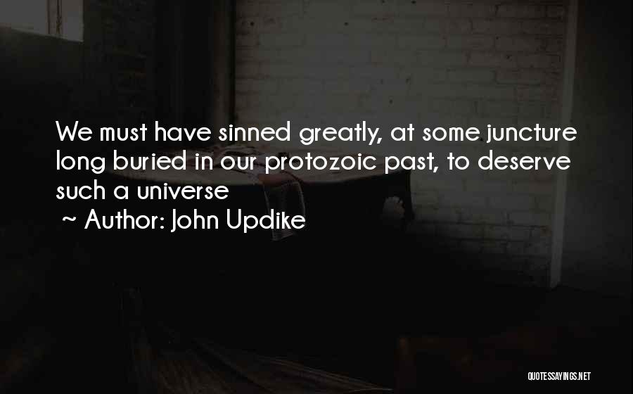 John Updike Quotes: We Must Have Sinned Greatly, At Some Juncture Long Buried In Our Protozoic Past, To Deserve Such A Universe