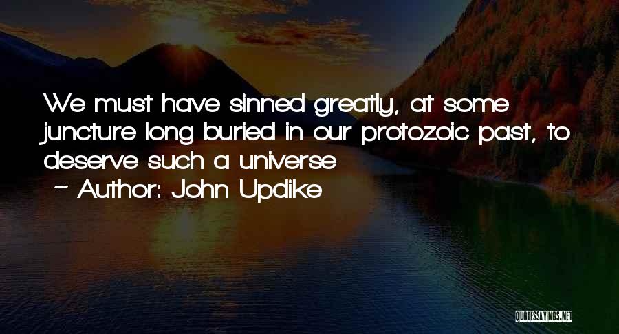 John Updike Quotes: We Must Have Sinned Greatly, At Some Juncture Long Buried In Our Protozoic Past, To Deserve Such A Universe