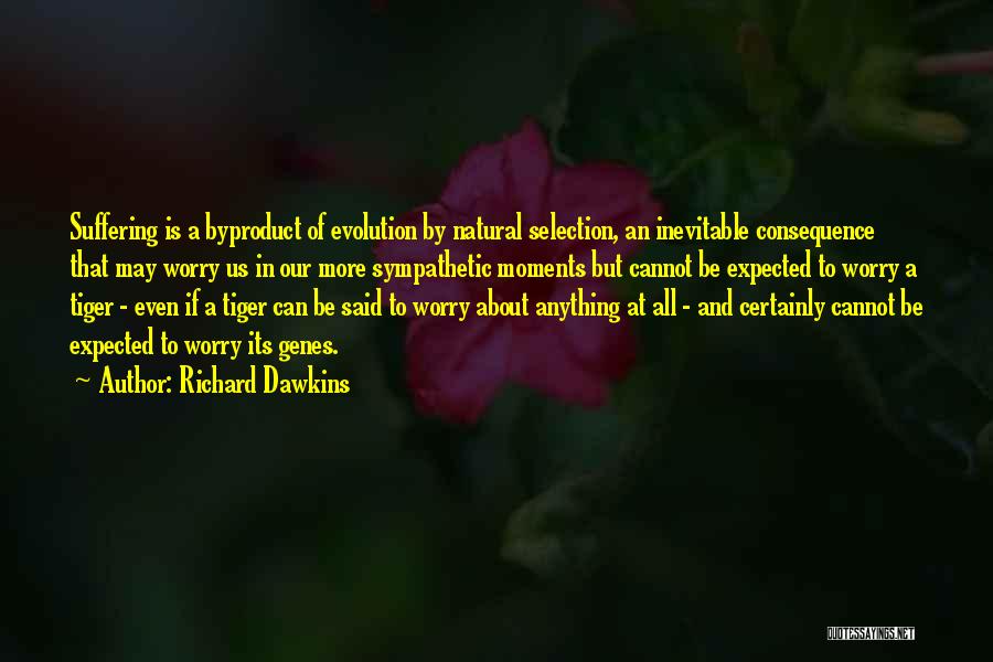 Richard Dawkins Quotes: Suffering Is A Byproduct Of Evolution By Natural Selection, An Inevitable Consequence That May Worry Us In Our More Sympathetic