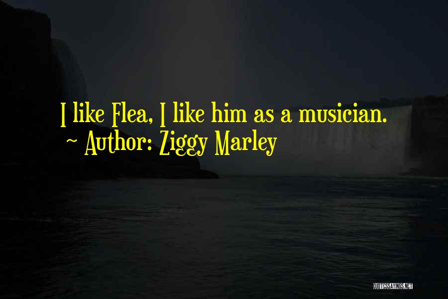 Ziggy Marley Quotes: I Like Flea, I Like Him As A Musician.