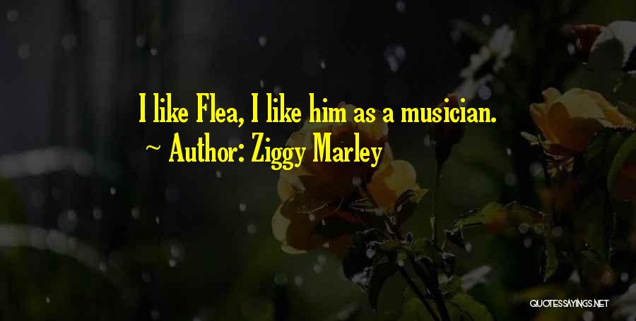 Ziggy Marley Quotes: I Like Flea, I Like Him As A Musician.