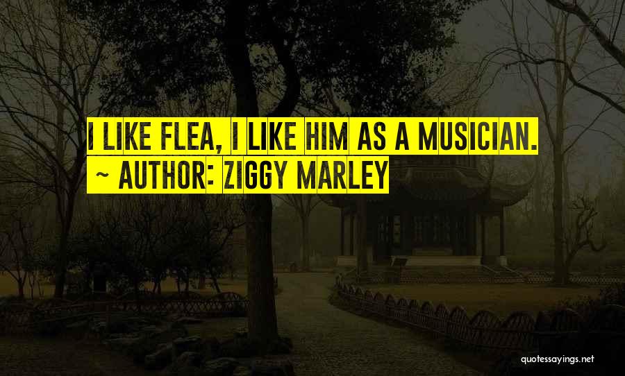 Ziggy Marley Quotes: I Like Flea, I Like Him As A Musician.