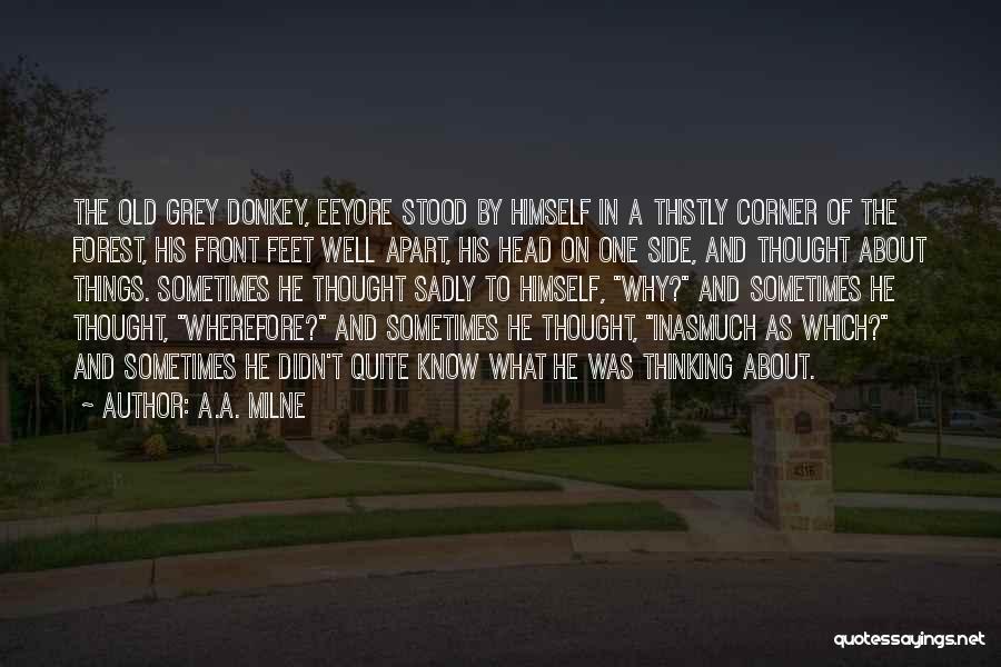 A.A. Milne Quotes: The Old Grey Donkey, Eeyore Stood By Himself In A Thistly Corner Of The Forest, His Front Feet Well Apart,