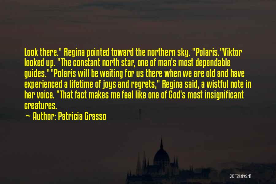 Patricia Grasso Quotes: Look There. Regina Pointed Toward The Northern Sky. Polaris.viktor Looked Up. The Constant North Star, One Of Man's Most Dependable