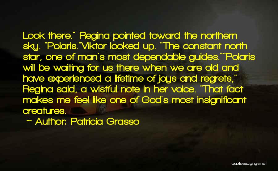 Patricia Grasso Quotes: Look There. Regina Pointed Toward The Northern Sky. Polaris.viktor Looked Up. The Constant North Star, One Of Man's Most Dependable