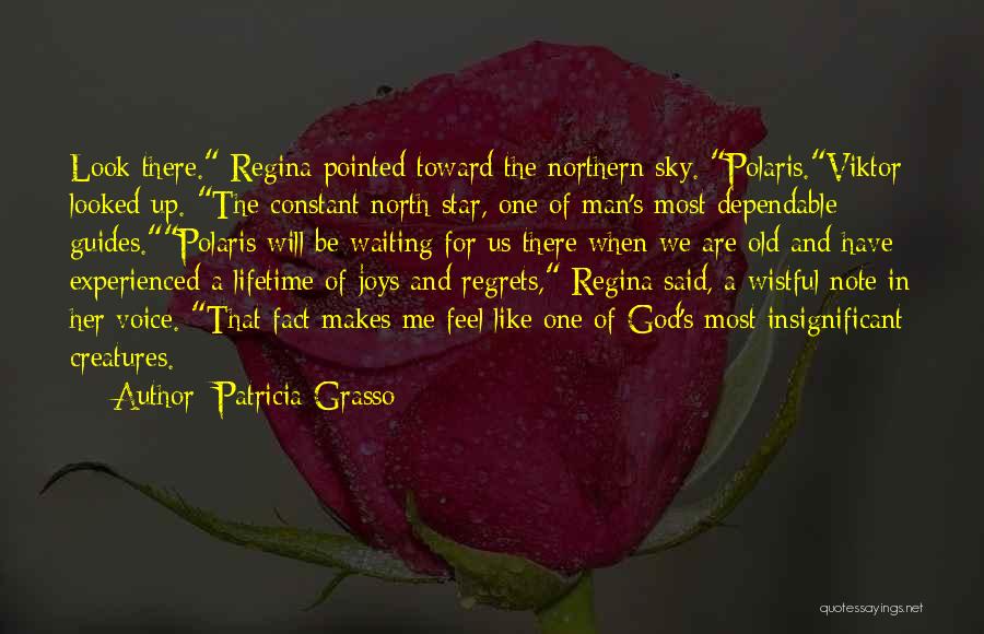 Patricia Grasso Quotes: Look There. Regina Pointed Toward The Northern Sky. Polaris.viktor Looked Up. The Constant North Star, One Of Man's Most Dependable