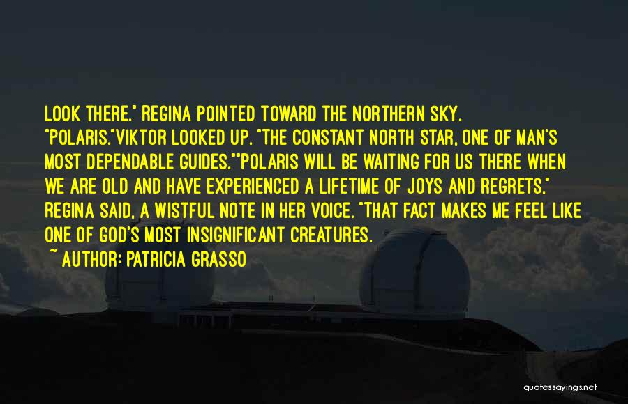 Patricia Grasso Quotes: Look There. Regina Pointed Toward The Northern Sky. Polaris.viktor Looked Up. The Constant North Star, One Of Man's Most Dependable