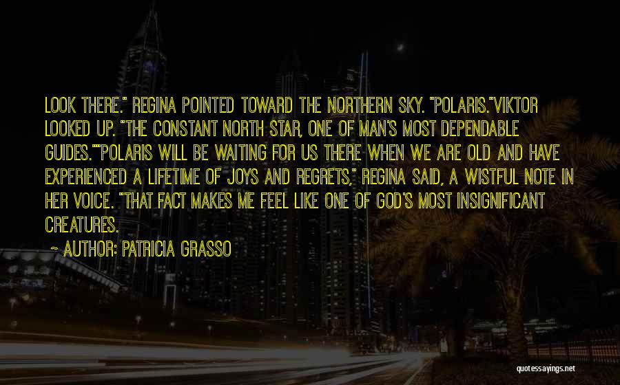 Patricia Grasso Quotes: Look There. Regina Pointed Toward The Northern Sky. Polaris.viktor Looked Up. The Constant North Star, One Of Man's Most Dependable