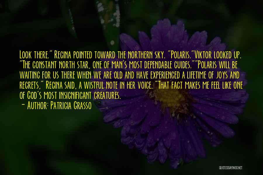 Patricia Grasso Quotes: Look There. Regina Pointed Toward The Northern Sky. Polaris.viktor Looked Up. The Constant North Star, One Of Man's Most Dependable