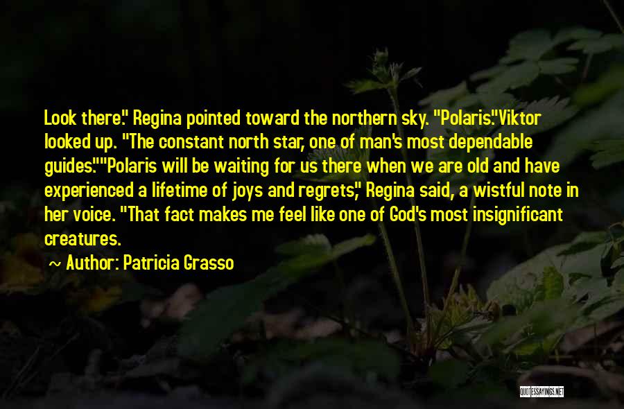 Patricia Grasso Quotes: Look There. Regina Pointed Toward The Northern Sky. Polaris.viktor Looked Up. The Constant North Star, One Of Man's Most Dependable