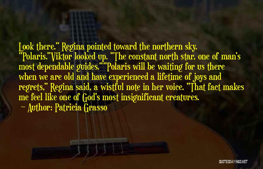 Patricia Grasso Quotes: Look There. Regina Pointed Toward The Northern Sky. Polaris.viktor Looked Up. The Constant North Star, One Of Man's Most Dependable