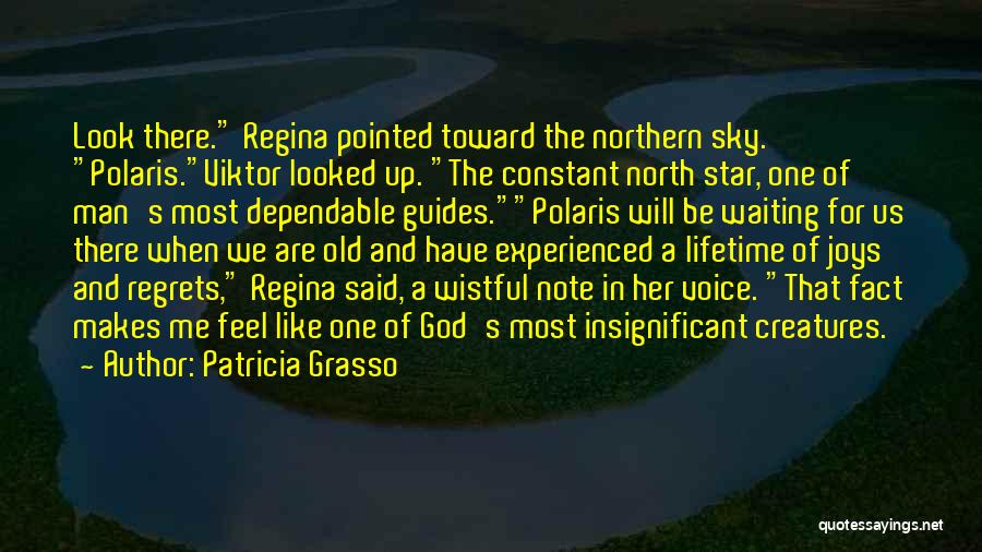 Patricia Grasso Quotes: Look There. Regina Pointed Toward The Northern Sky. Polaris.viktor Looked Up. The Constant North Star, One Of Man's Most Dependable