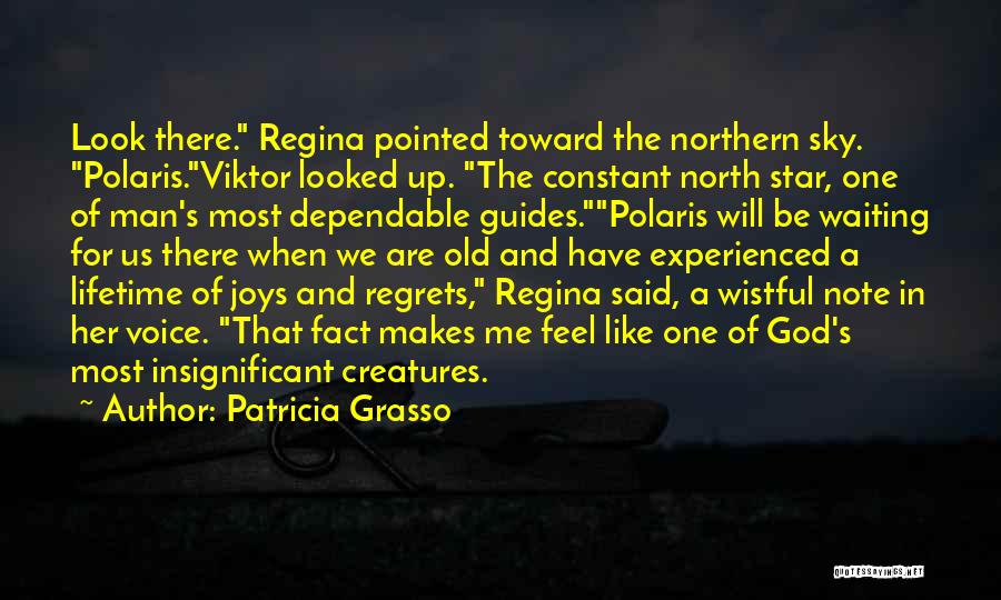 Patricia Grasso Quotes: Look There. Regina Pointed Toward The Northern Sky. Polaris.viktor Looked Up. The Constant North Star, One Of Man's Most Dependable