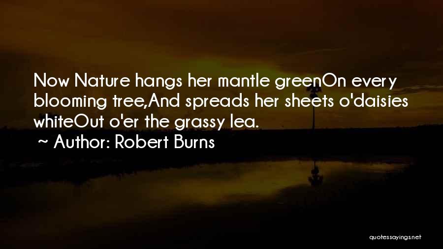 Robert Burns Quotes: Now Nature Hangs Her Mantle Greenon Every Blooming Tree,and Spreads Her Sheets O'daisies Whiteout O'er The Grassy Lea.