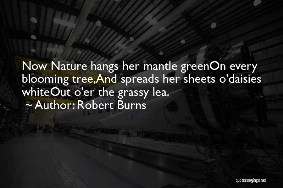 Robert Burns Quotes: Now Nature Hangs Her Mantle Greenon Every Blooming Tree,and Spreads Her Sheets O'daisies Whiteout O'er The Grassy Lea.