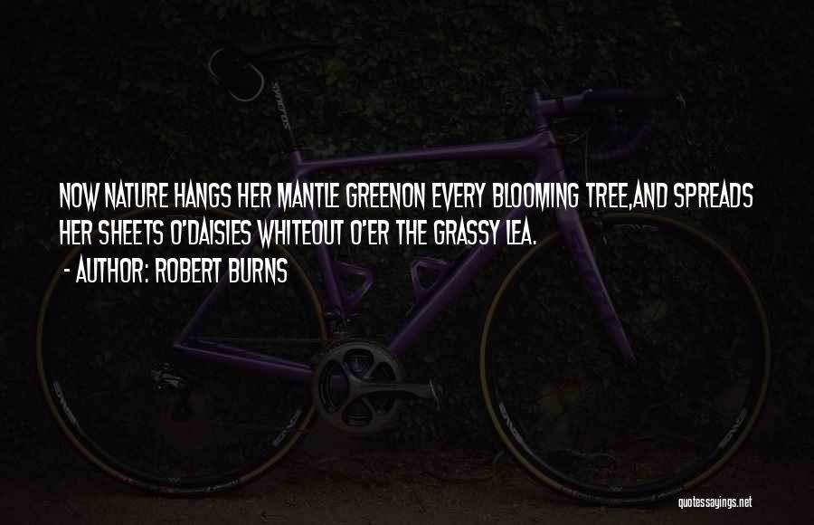 Robert Burns Quotes: Now Nature Hangs Her Mantle Greenon Every Blooming Tree,and Spreads Her Sheets O'daisies Whiteout O'er The Grassy Lea.